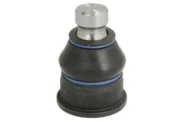 RH032005 Reinhoch
