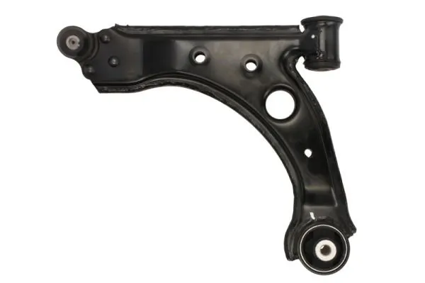 RH041045 Reinhoch