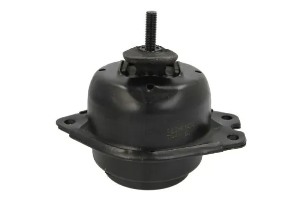 RH112033 Reinhoch