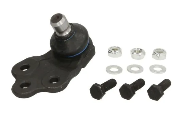 RH031010 Reinhoch