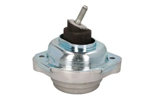 RH113069 Reinhoch
