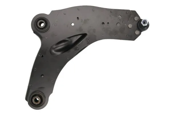 RH042036 Reinhoch