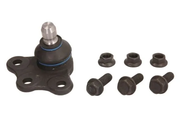 RH035001 Reinhoch
