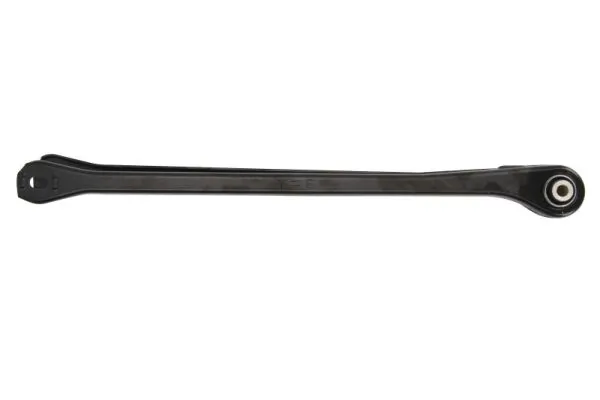 RH053010 Reinhoch