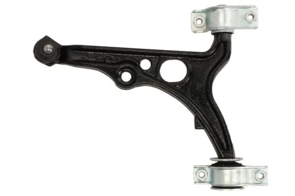 RH041010 Reinhoch