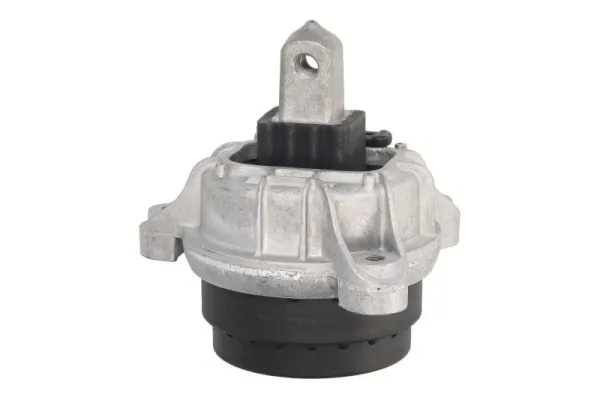 RH113080 Reinhoch