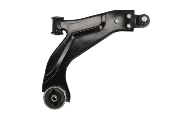 RH044016 Reinhoch