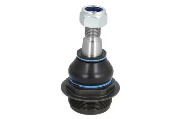 RH032026 Reinhoch