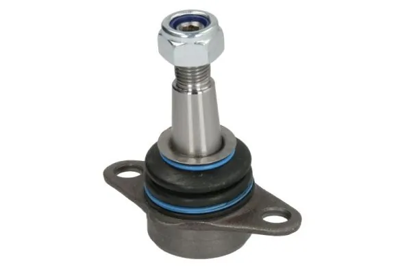 RH033027 Reinhoch