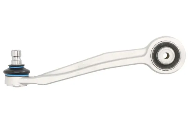RH040080 Reinhoch