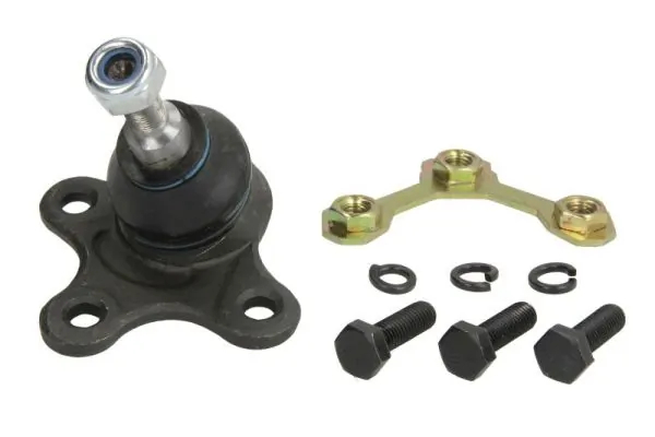 RH030028 Reinhoch
