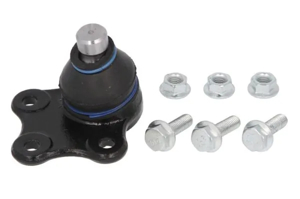 RH034011 Reinhoch
