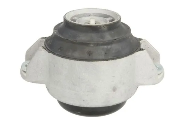RH113056 Reinhoch