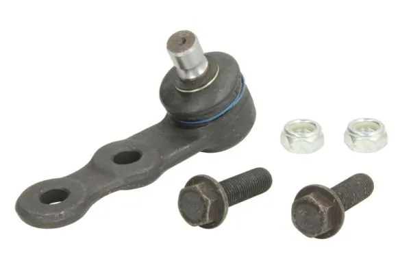 RH035002 Reinhoch