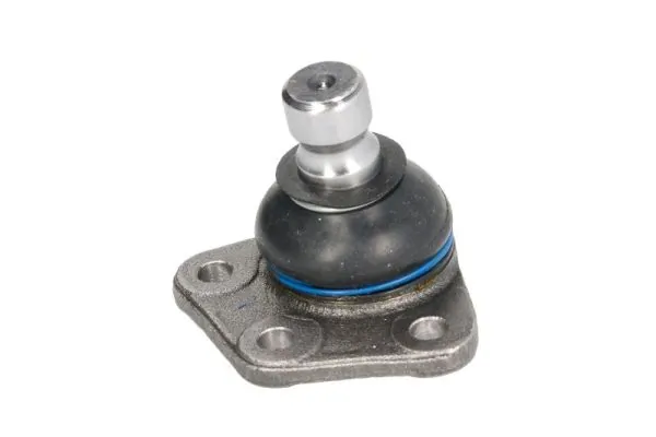 RH030008 Reinhoch