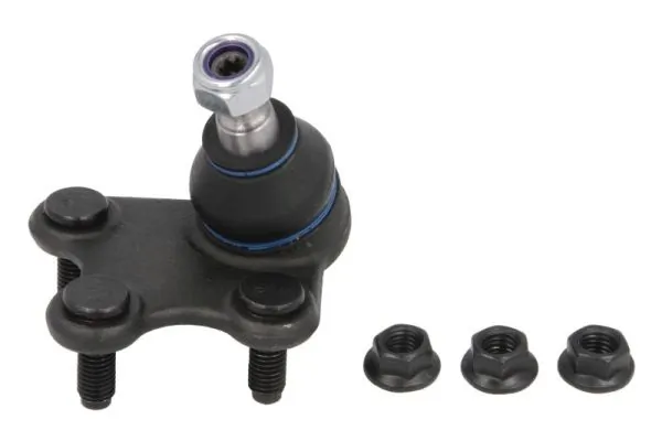 RH030022 Reinhoch