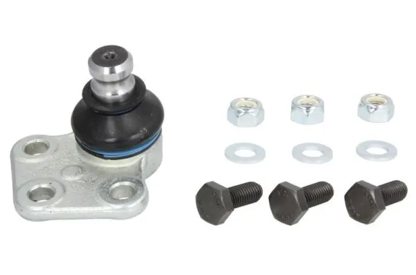 RH032030 Reinhoch