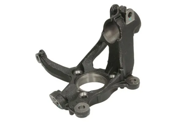 RH080031 Reinhoch