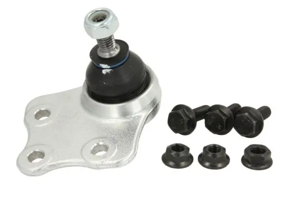 RH033017 Reinhoch