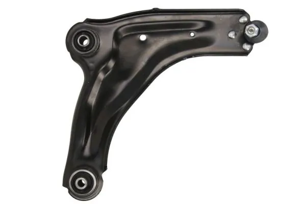 RH042024 Reinhoch