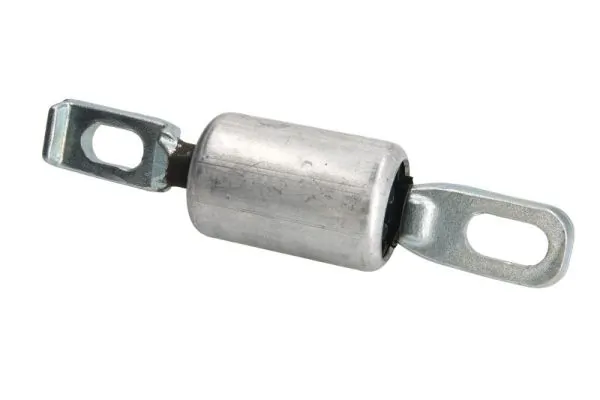 RH151009 Reinhoch