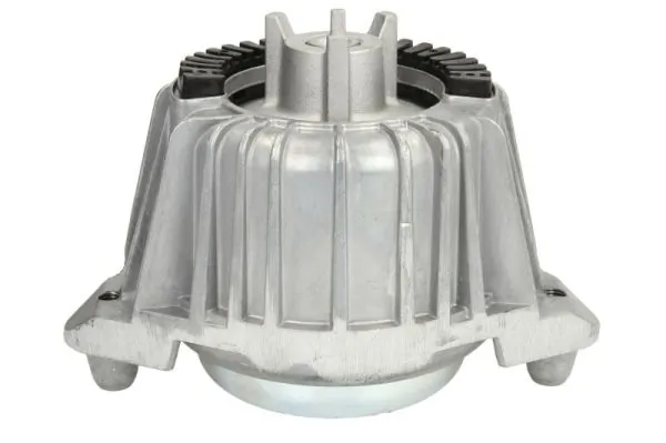 RH113035 Reinhoch