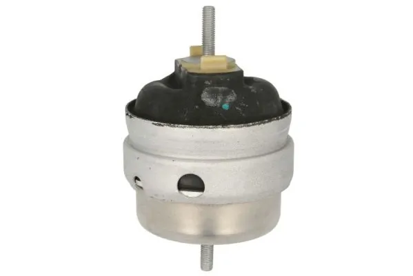 RH110162 Reinhoch