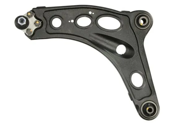 RH042058 Reinhoch