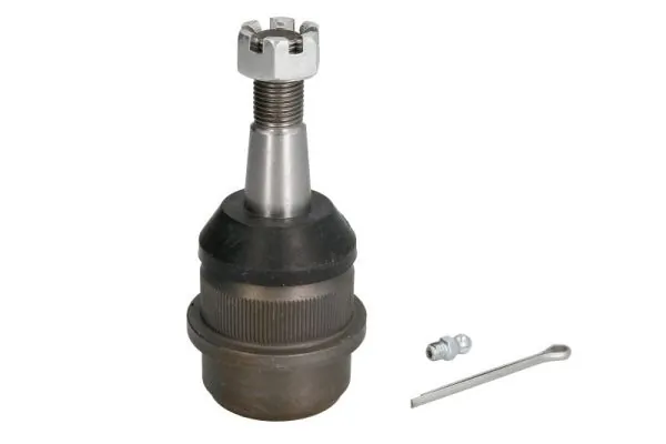 RH036001 Reinhoch
