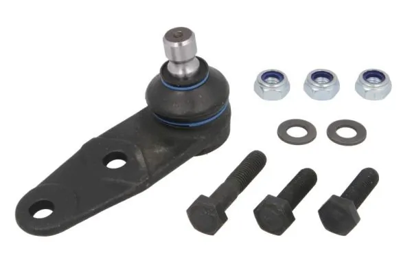RH032003 Reinhoch