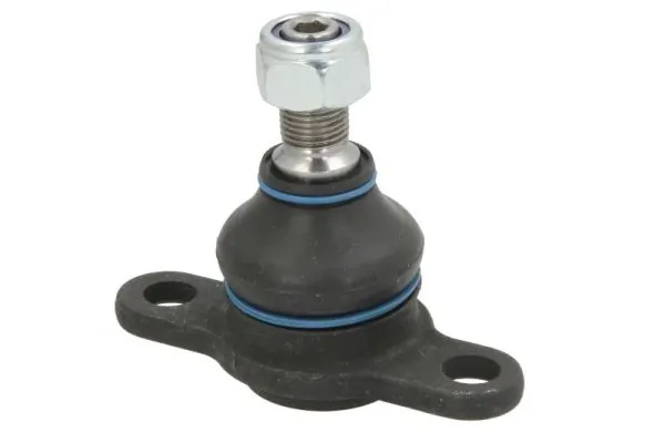 RH030034 Reinhoch