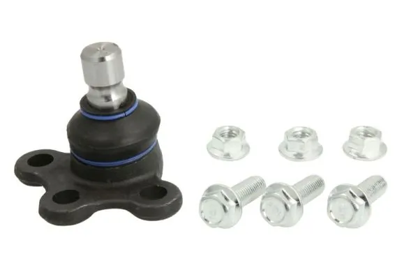 RH032036 Reinhoch