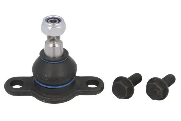 RH030017 Reinhoch