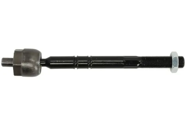 RH022023 Reinhoch