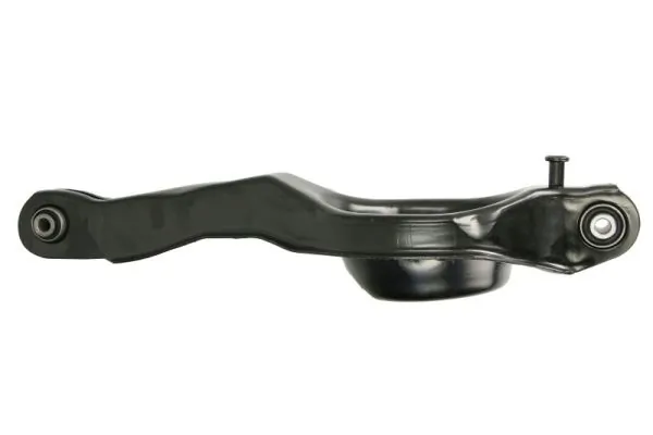 RH054019 Reinhoch