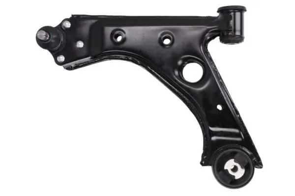 RH041031 Reinhoch