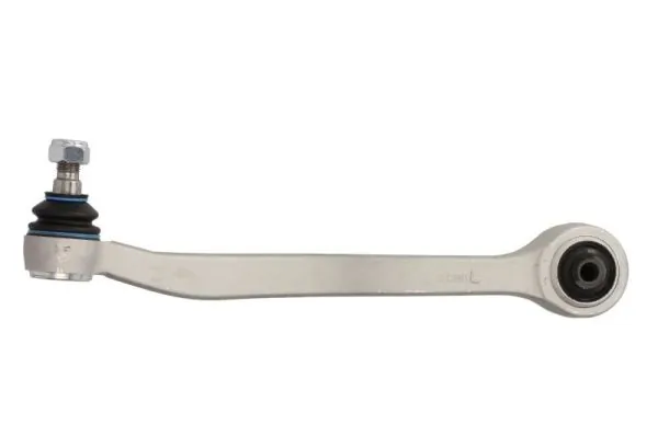RH043013 Reinhoch