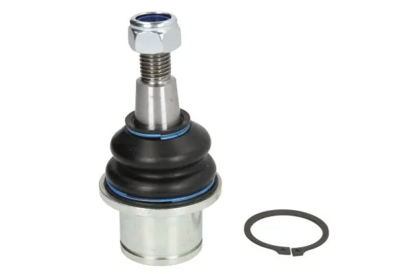 RH035009 Reinhoch