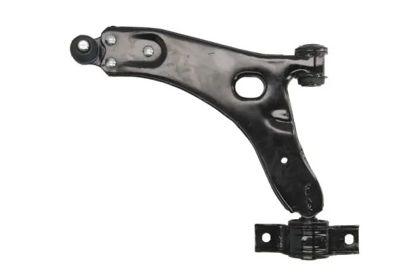 RH044018 Reinhoch