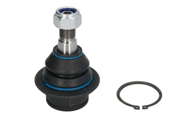 RH034008 Reinhoch