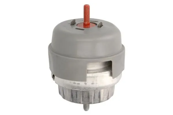 RH110097 Reinhoch