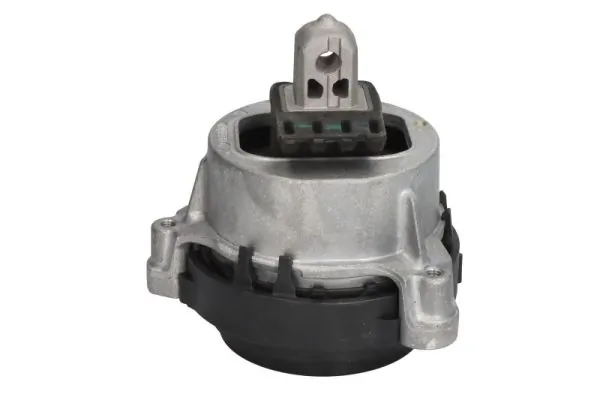 RH113138 Reinhoch
