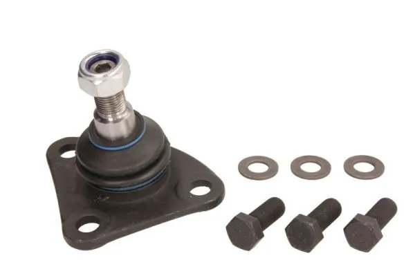 RH032037 Reinhoch