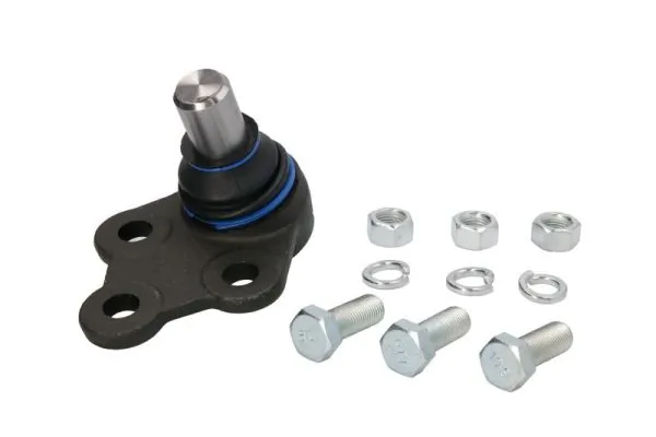 RH033012 Reinhoch