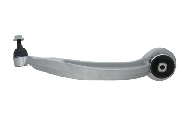 RH040096 Reinhoch
