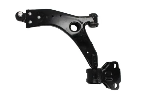 RH044037 Reinhoch