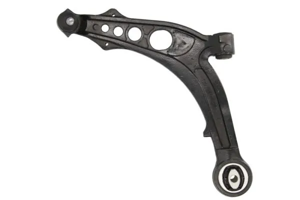 RH041013 Reinhoch