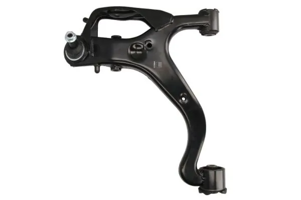 RH045031 Reinhoch