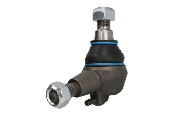RH033020 Reinhoch