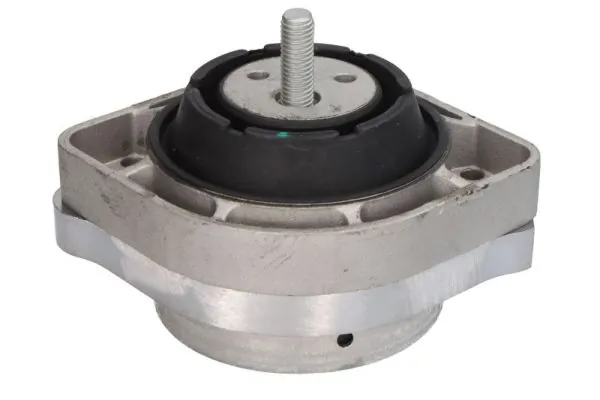 RH113077 Reinhoch